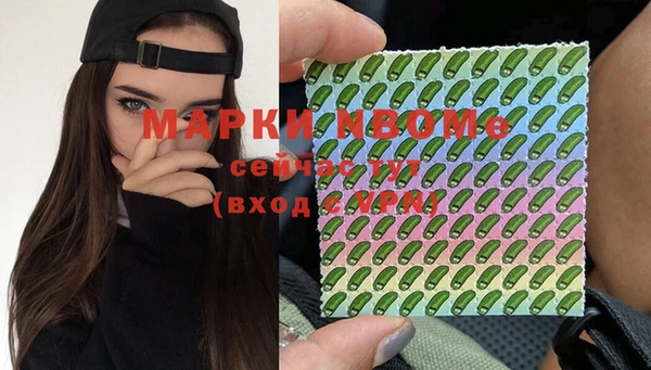 apvp Алагир
